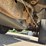 2006-ford-f150-image-29