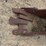 #2285-•-cf-approx.-28"-tooth-ditching-bucket-image-5