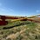 2016-westfield-mkx130-64-image-1