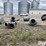 directional-bin-spouts-image-6