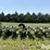 john-deere-7100-image-5