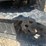 #2254-•-2024-powerx-px-10+-mini-excavator-image-52