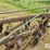 john-deere-2-image-16
