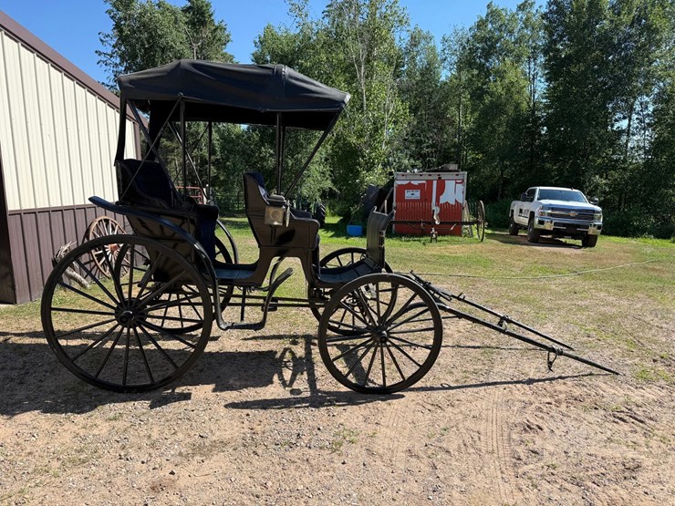 #2494-•-surrey-horse-wagon-image-6
