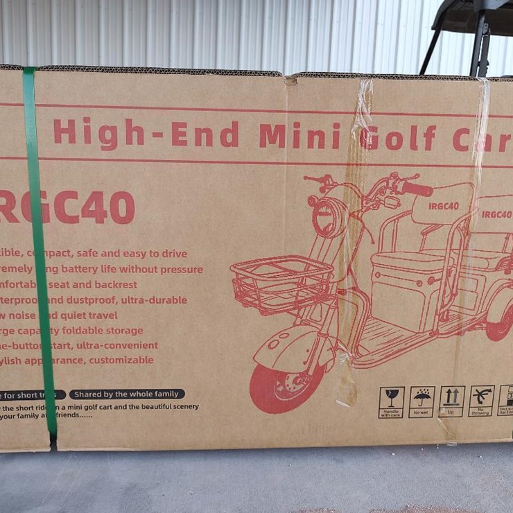 IR IRGC40 High-End Mini Electric Golf Cart, Color Green