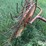 3-pt-hay-inverter-rake-image-16