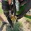 2010-john-deere-568-image-10
