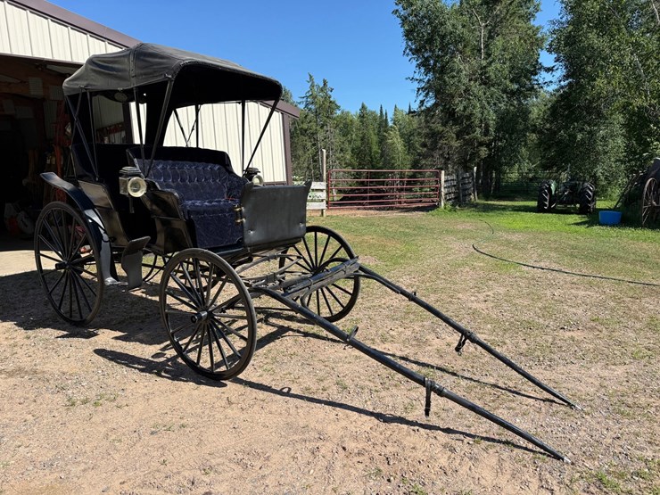 #2494-•-surrey-horse-wagon-image-7