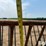 horse-hay-feeder-image-17