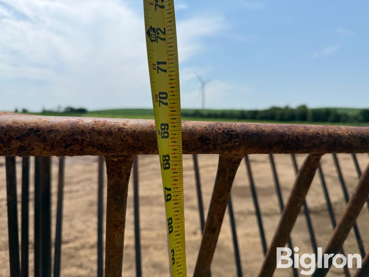 horse-hay-feeder-image-17