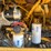 #1298-•-caterpillar-m318d-material-handler-image-29