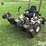 2007-grasshopper-727k-image-9
