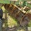 john-deere-1630-image-14
