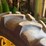 john-deere-6420-image-74