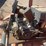 amida-arrow-board-dbl15-fa-gk-image-13
