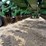 2006-john-deere-1770nt-image-24