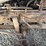 2000-gmc-t6500-image-57