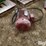 baldor-super-e-severe-duty-xex-electric-motor-image-8