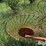 3-pt-hay-inverter-rake-image-15