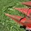 massey-ferguson-863-image-9