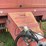 1998-new-holland-664-image-15