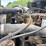1999-freightliner-fl80-image-32