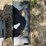 #2319-•-mini-skid-steer-plate-image-1