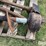 richland-3-pt-post-hole-auger-image-16