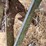 john-deere-pull-type-four-bottom-plow-image-25