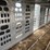 #2150-•-2017-barrett-53'-cattle-semi-trailer-image-56