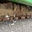 john-deere-520-image-37