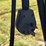 westfield-w80-51-220-volt-grain-auger-image-15