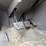 2015-international-lonestar-image-132