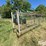 14/16-steel-livestock-gates-image-12