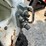 2023-bobcat-t66-image-10
