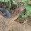 john-deere-pull-type-four-bottom-plow-image-6