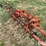 homemade-track-wacker-image-12