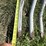 mds-6’-rock-bucket-image-15