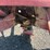 ford-254-rake-tedder-image-12