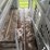 #2150-•-2017-barrett-53'-cattle-semi-trailer-image-45