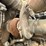 1997-mack-dm688s-image-41