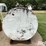 2000-gal-steel-fuel-tank-image-6