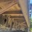 #2252-•-2008-maurer-manufacturing-53'-step-deck-semi-trailer-image-58