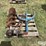richland-3-pt-post-hole-auger-image-2