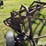 international-side-delivery-rake-image-12