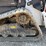 2022-bobcat-t76-image-18