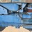 ford-tractor-image-11