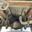 1999-ford-f250-image-21