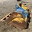caterpillar-36-image-4