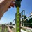 14/16-steel-livestock-gates-image-19